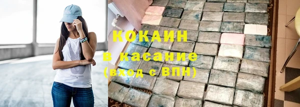 твердый Ельня
