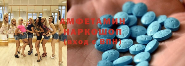 твердый Ельня