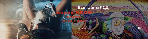 бутират Елабуга