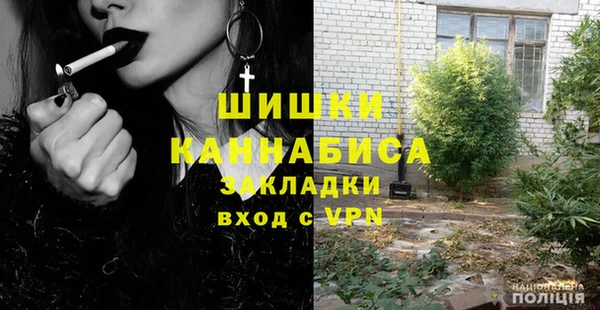 твердый Ельня