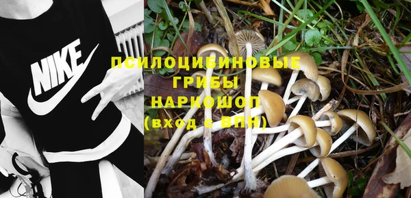 твердый Ельня