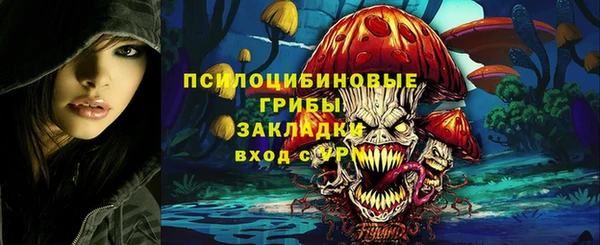 твердый Ельня