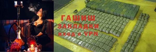 твердый Ельня